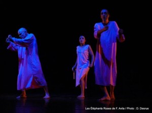 Les Éléphants Roses - Spectacle - Photo : D. Desrue