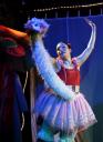 autruche-couleur-photo-regis-baland.jpg